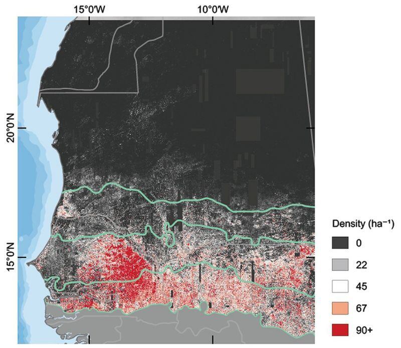 Mapa que indica la densidad de árboles por hectárea en la zona estudiada del Sahara - 