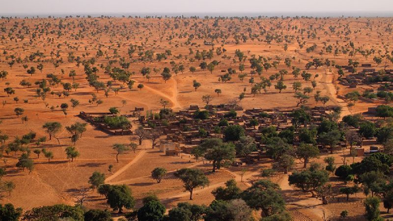 No es un espejismo: hallaron más de 1.800 millones de árboles en el desierto de Sahara