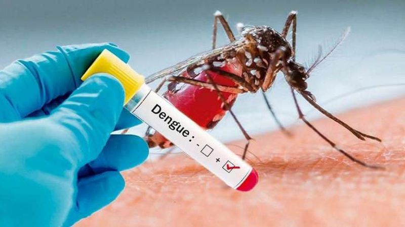 Los contagios por dengue en la Argentina ya son de 54.870, el mayor registro histórico en el país 
